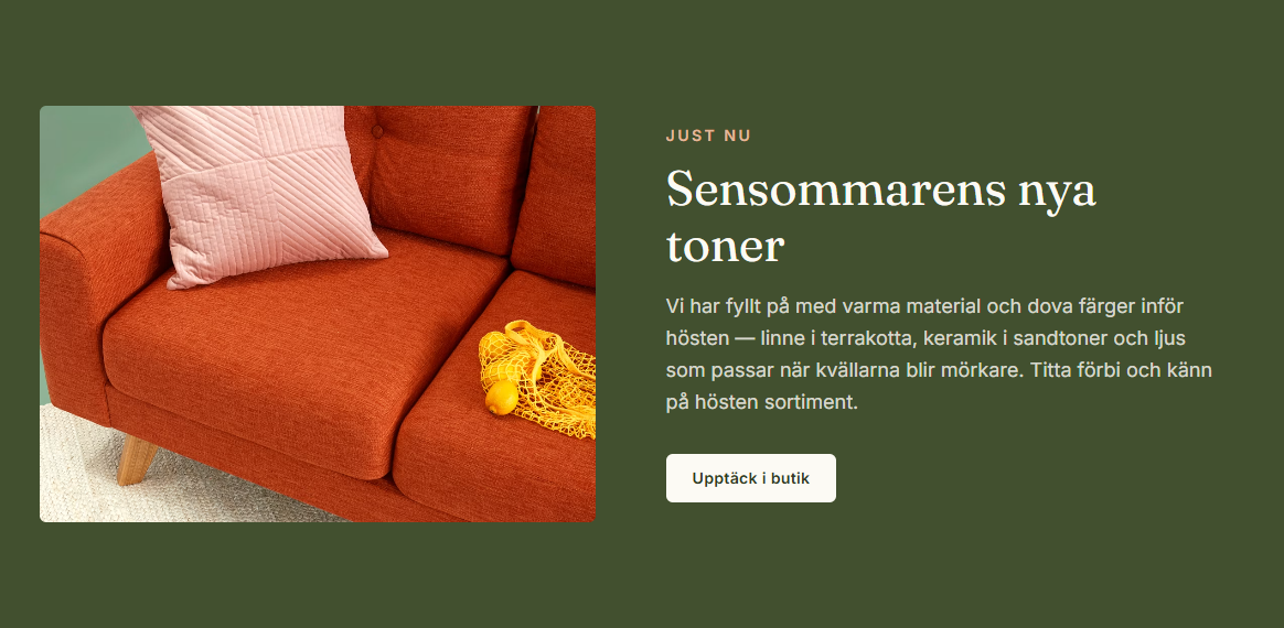 Exempel på aktuell kampanjsektion